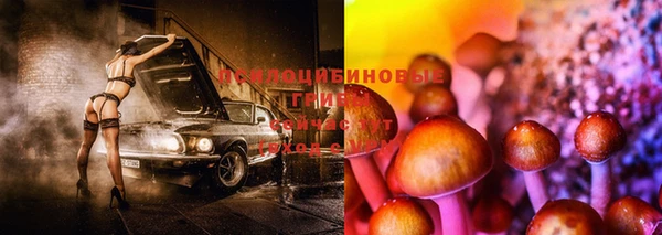 прущие крисы Лабытнанги