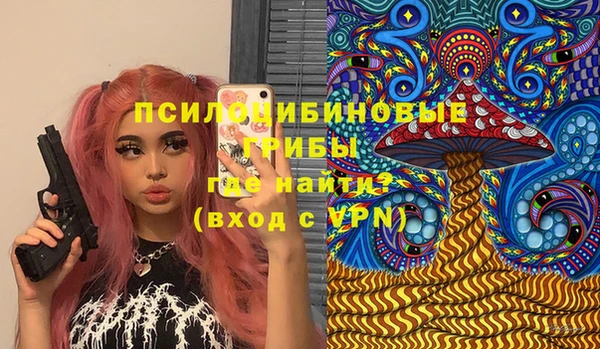 прущие крисы Лабытнанги