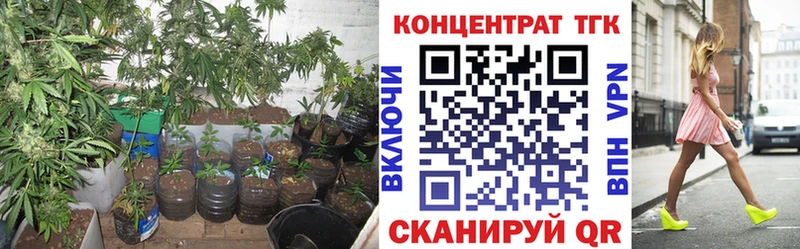 где найти наркотики  Красавино  блэк спрут вход  Дистиллят ТГК жижа 